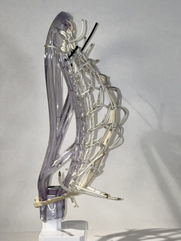 Pre-strung ECD Ion - Image 4